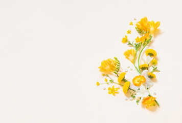 Wall Mural - yellow flowers  on yellow paper background