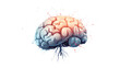 scientific Illustration of the human brain. Transparent, Isolated. AI Generative