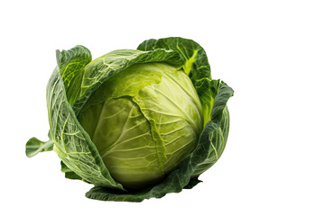 Wall Mural - cabbage on a white background or transparent background