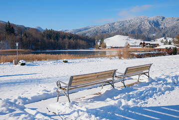 Wall Mural - two benches at snowy winter landscape, spa garden Schliersee