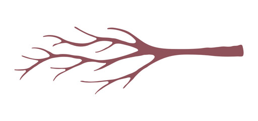 Tree branch, twig, stick illustration. Hand drawn style flat design, isolated vector. Botanical, plant element wood