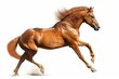 Isolated ginger horse in gallop. Generative AI