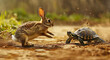 hare and tortoise enjoying a playful encounter on a sunny dirt path