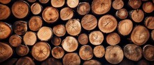 A Group Of Cut Logs