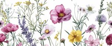 A Watercolor Painting Of A Vibrant Field Of Wildflowers In Full Bloom On White Background. Representing The Flowers Grow In.