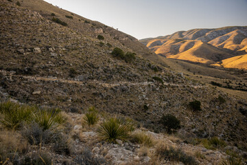 Poster - Built Up Trail Wall In Guadalupe Moutains