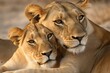 © Quin - A lioness and her adorable cub snuggle together in a heartwarming moment. Generative AI