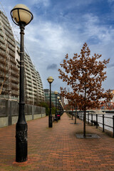 Wall Mural - Lampposts and Trees at Salford Quays 