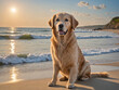 Golden retriever sitting on the beach by the sea at sunset