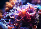 Fototapeta Przestrzenne - Colorful corals in the ocean. Underwater life. AI generated