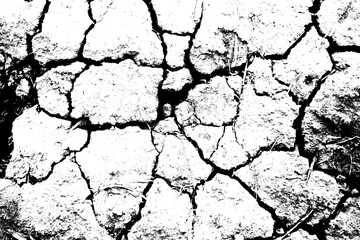 abstract soil crack texture background