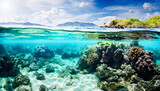 Fototapeta Do akwarium - Beautiful Coral reef Underwater Great Barrier Reef