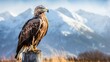 A majestic eagle perched on a weathered wooden post, with intricate details highlighting each feather and a mountainous landscape in the background