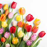 Fototapeta Tulipany - red and yellow tulips on isolate transparency background, PNG
