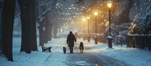 A Person Is Seen Walking Two Dogs Through A Misty Morning Snow Scene The Stray Harrogate North Yorkshire UK. Creative Banner. Copyspace Image