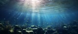 Fototapeta Do akwarium - underwater world loop