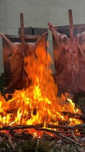 Traditional Argentinian Asado, Lamb And Piglet Slow-cooked Over A Wood Fire And Brushed With A Spicy Chimichurri Sauce, Patagonia, Argentina, France, High Quality FullHD Footage