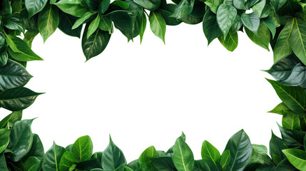 Wall Mural - Green leaves frame cut out