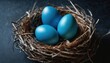 © Jevjenijs - three blue eggs sit in a nest on a black surface, one is in the middle of the nest, and the other is in the middle of the nest.