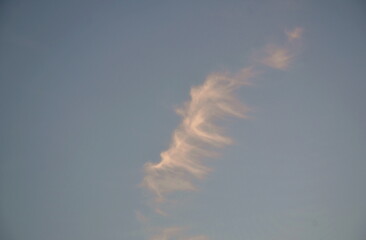 Wall Mural - cloud spreading on twilight sunset sky in evening 