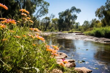 Wall Mural - Biodiversity Along a Riverside Paradise