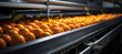 Conveyor in the factory on which the fruit of oranges moves, factory for creating orange juice packaging of oranges in the factory