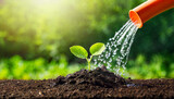 Fototapeta  - Watering young plant in soil with watering can on green nature background