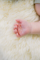 Wall Mural - newborn hand