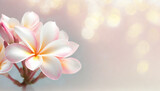 Fototapeta Kwiaty - Kwiaty plumerii, hawajski kwiat, dekoracja ścienna, generative ai