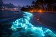 Bioluminescent waves in Vaadhoo Island, Maldives - Seas and oceans, mysterious natural phenomenon