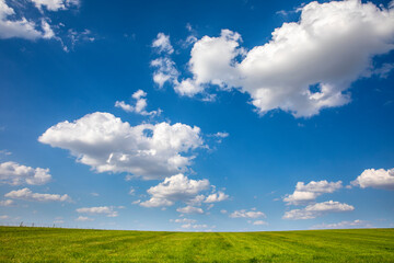 Wall Mural - Ciel bleu et nuages blanc au dessus des champs et le la campagne verte au printemps.