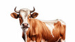 cow, cattle, livestock. empty space for the text.the muzzle of an animal, head with horns. colorful illustration.