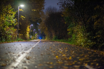 Two lane bike path almost covered in leaves at night.