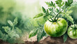 Green young tomato vegetable in the garden, copy space on a side, watercolor art style
