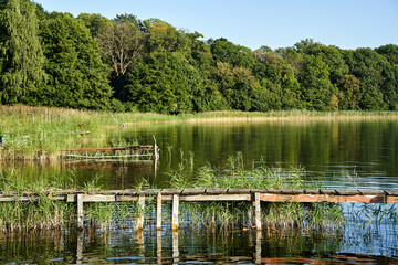 Sticker - reeds and old, damaged fishing piers on the lake shore