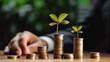 Prosperity Blooms: Unleashing the Power of Growth in Finance and Investments