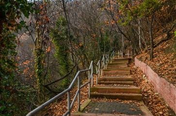 Wall Mural - stairway in Mtatsminda Park (Tbilisi, Georgia)	