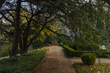 Wall Mural - walkway in parterre of the National Botanical Garden  (Tbilisi, Georgia)