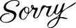 sorry Calligraphy