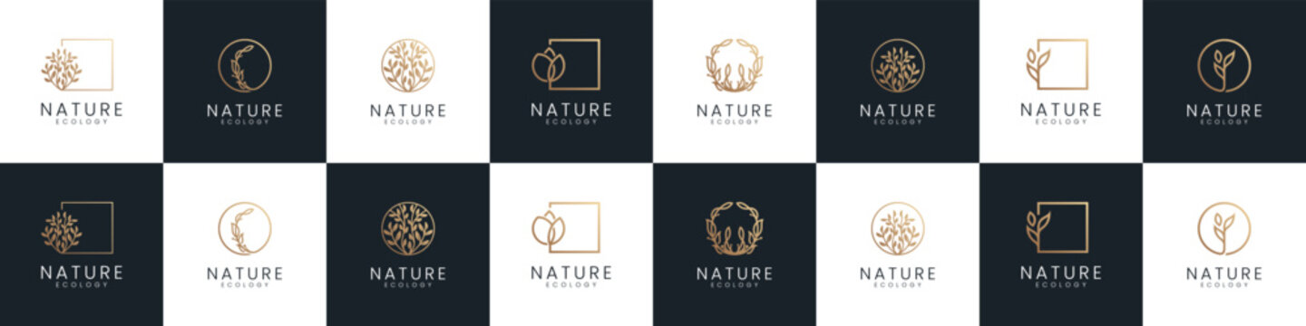 Set of Abstract icon Beauty flower logo for your business company identity