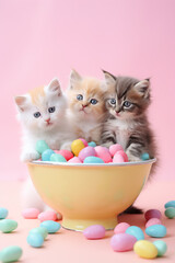 Wall Mural - adorable kittens eat from the same bowl. Funny cute kittens eat appetizingly