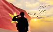 Silhouette of a soldier with the Vietnam flag stands against the background of a sunset or sunrise. Concept of national holidays. Commemoration Day.