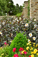 Wall Mural - Dublin,Ireland - september 15 2022 : Victorian Kitchen Garden