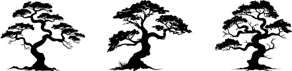 Wall Mural - Tree silhouettes, vector, conifers, etc.