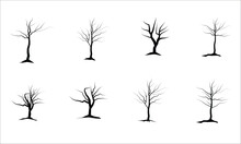 Large Leafless Hardwood Trees Are Seen Silhouetted On A White Background In A Isolated Transparent Illustration.