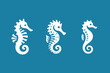 Sea Horse. Beautiful simple modern logo, icon set. Various white colors on a blue background
