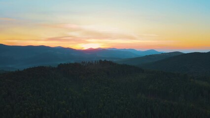 Sticker - Aerial view of foggy evening over high peaks with dark pine forest trees at bright sunset. Amazing scenery of wild mountain woodland at dusk