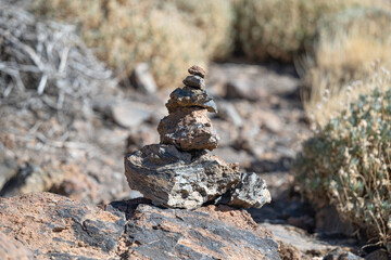 Sticker - Teide nature reserve