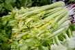 Farmer's market table with lots of veggies and focus on a large bundle of crisp celery stalks, delicious vegetable used in soups, stews or salads for its unique taste adding depth and flavor to dishes