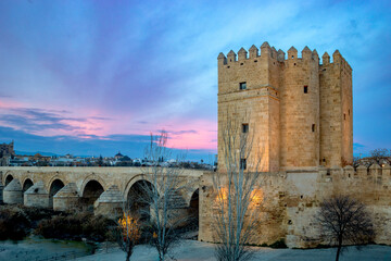 Wall Mural - Sunset view of the Torre de Calahorra and the Roman bridge in Córdoba, Andalusia, Spain World Heritage Site